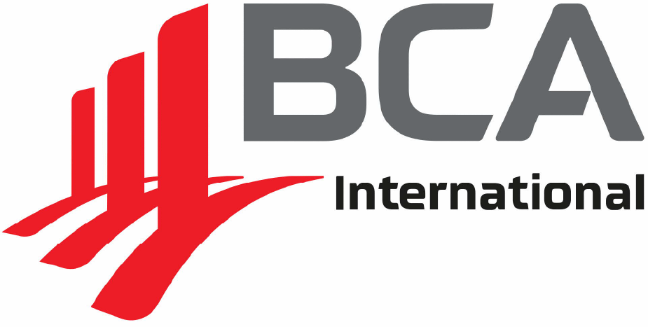 BCAI - Landing Page.png